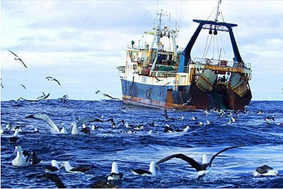 Politica europeană pentru pescuit - perspectiva drepturilor de proprietate